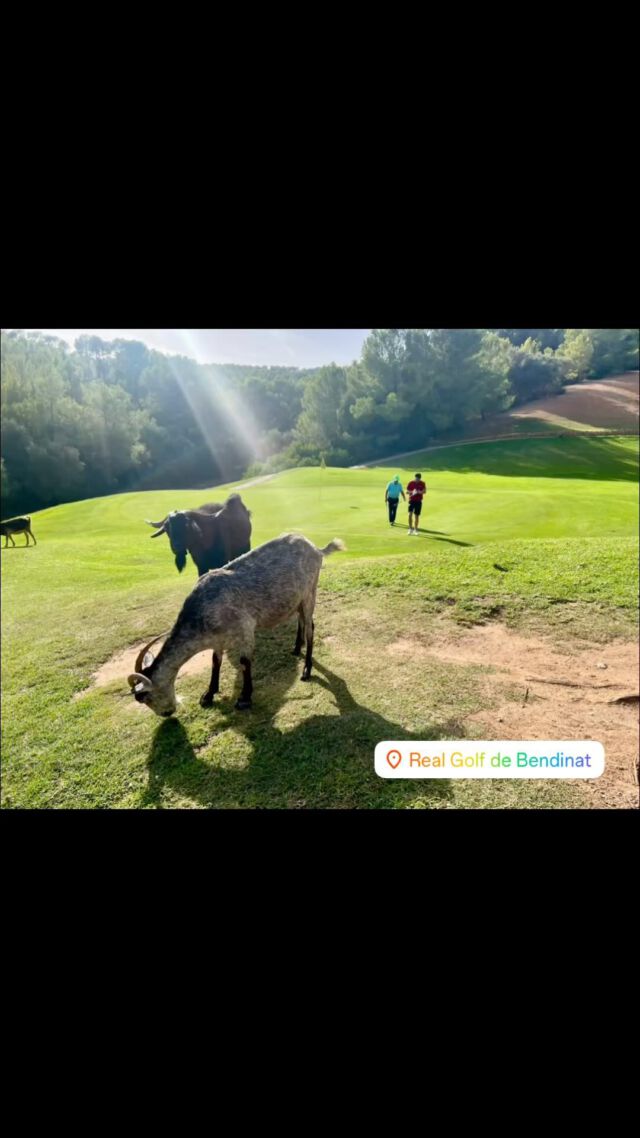 Instagram-Beitrag 18054364993882633